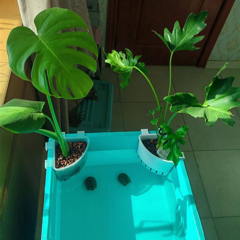 鱼缸水草定植篮盆栽转角置物架水族造景摆件收纳专用支架