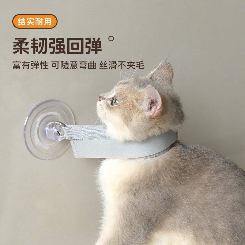 猫咪洗澡固定神器防抓沐浴项圈宠物美容清洁洗澡固定牵引器