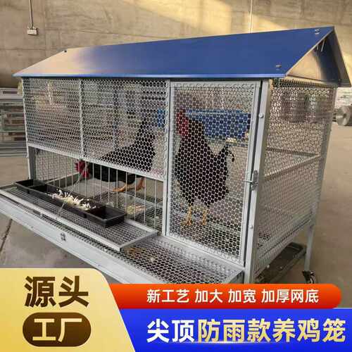 尖顶养殖养鸡鸡笼笼子兔笼鸡鸭家用黄鼠狼防鼠加厚加密户外自动