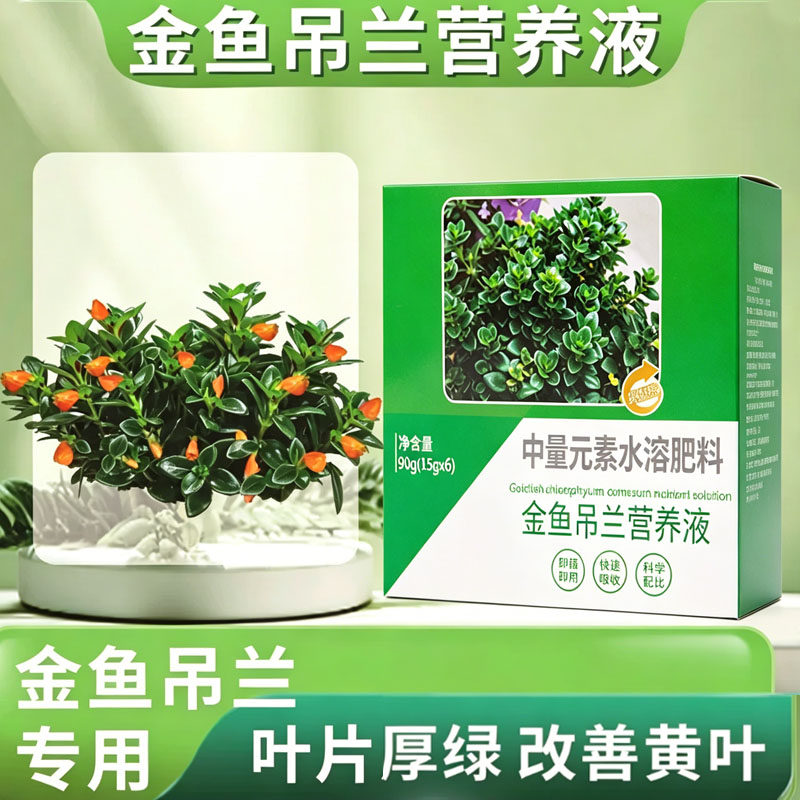 金鱼吊兰专用营养液促花防黄叶