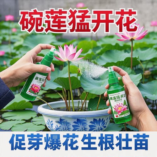 碗莲专用营养液睡莲肥料莲花