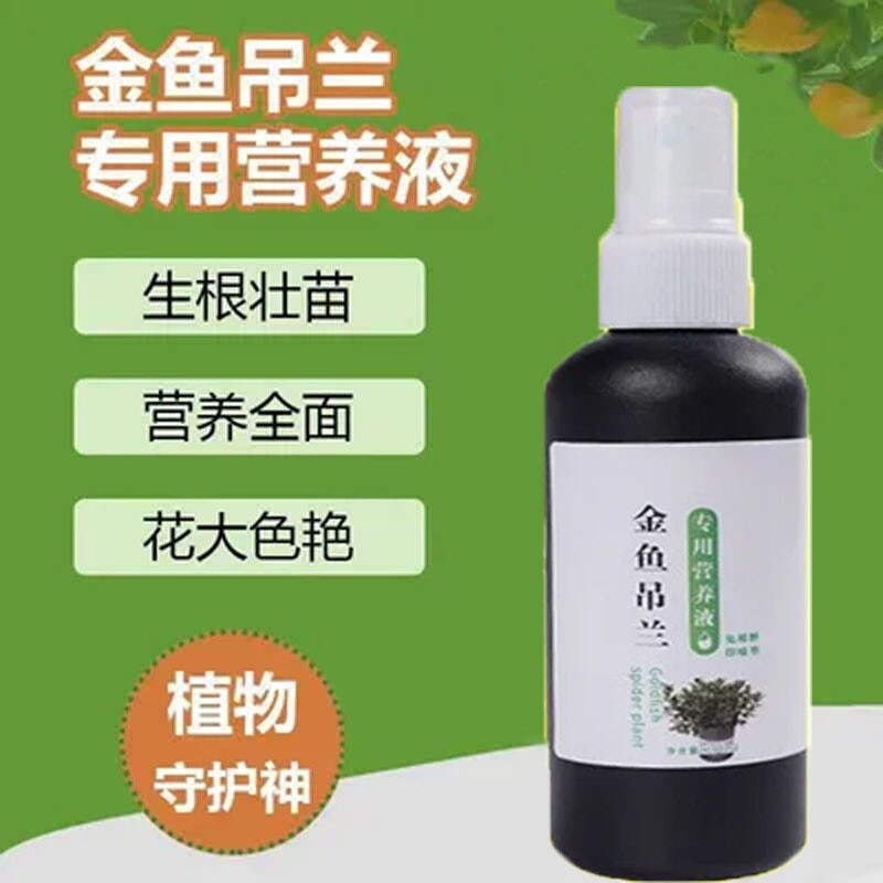 金鱼吊兰专用营养液专治不开花