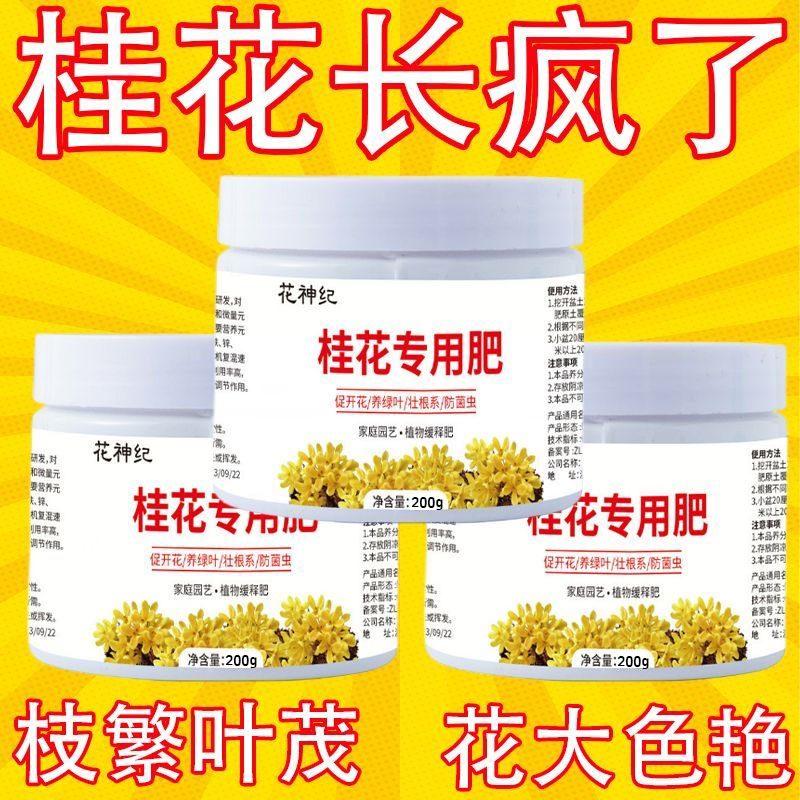 桂花树专用营养液肥料复活桂花