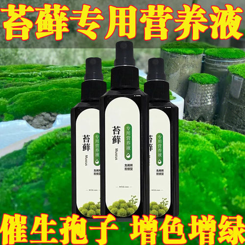 苔藓营养液青苔养花专用