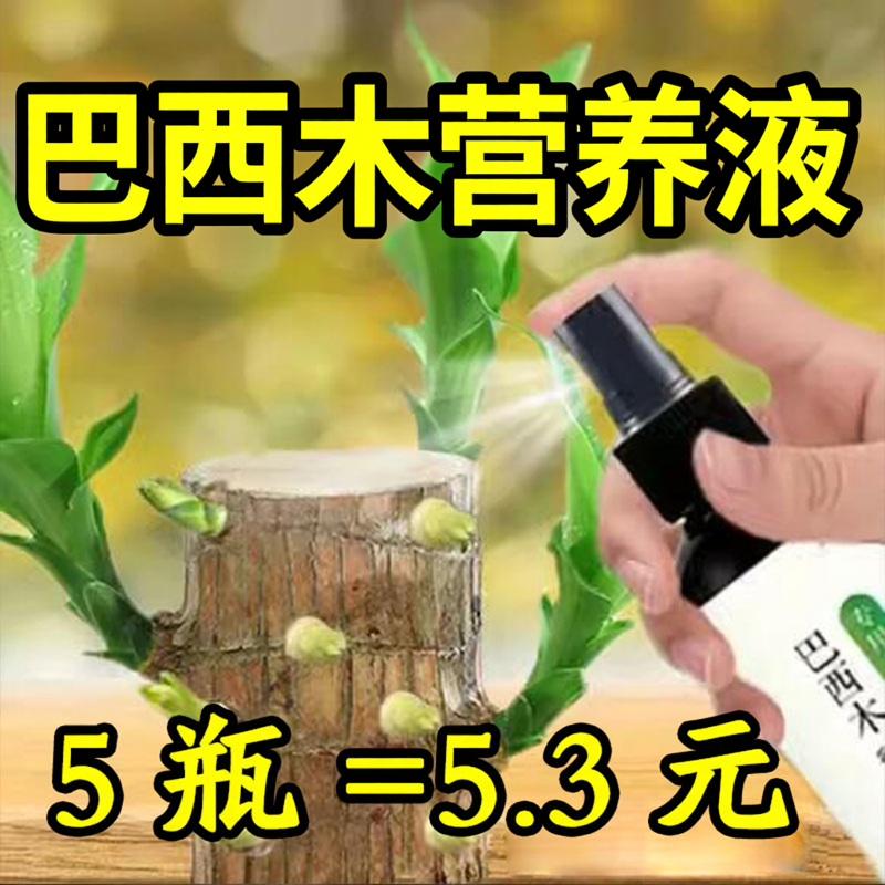 巴西木营养液专用肥料幸运木水培促爆芽防黄叶底部发霉生根液体肥