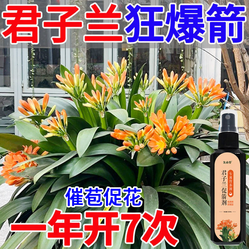 君子兰促箭剂催花营养液促花箭防黄叶快速开花专用肥免稀释液体肥
