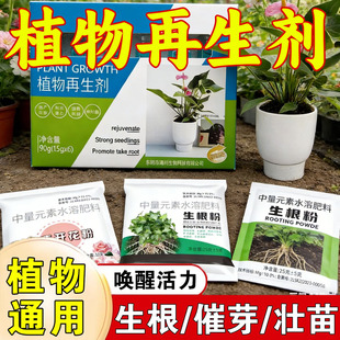 植物再生剂复活液花卉绿植盆栽通用光杆发黄发财树多肉生长营养液