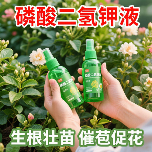 磷酸二氢钾肥料溶液花卉专用