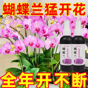 蝴蝶兰营养液浓缩专用肥兰花肥料促进开花君子兰科有机花肥液体肥