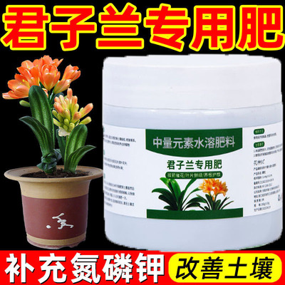 君子兰专用肥料颗粒缓释肥促开花