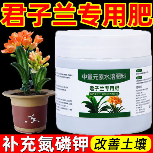 君子兰专用肥料颗粒缓释肥促开花