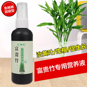 富贵竹专用营养液免稀释防止叶子发黄促生根液植物水培专用肥
