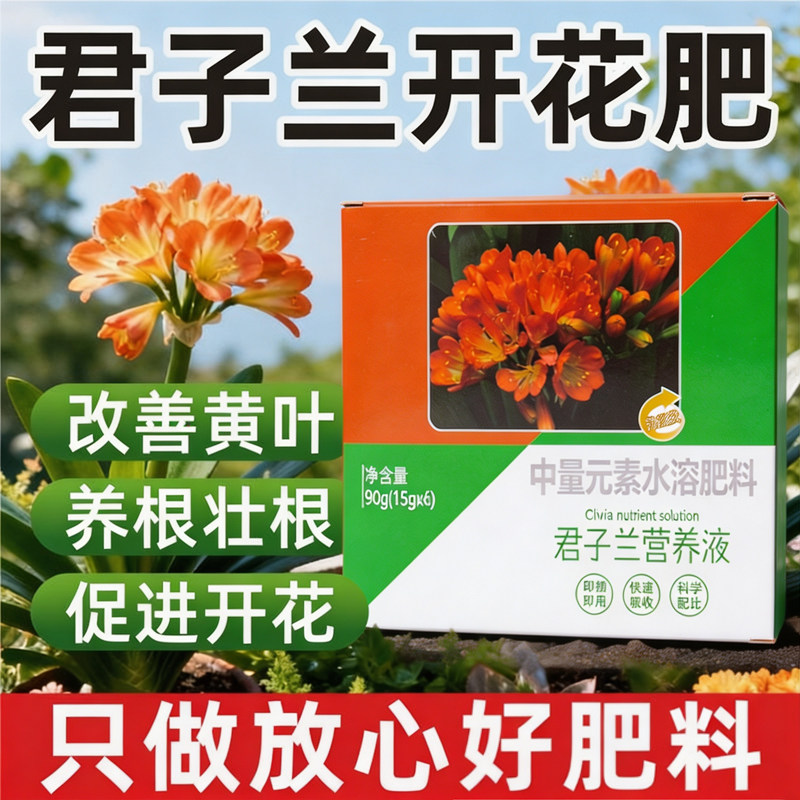 君子兰再生剂免稀释促开花防黄叶