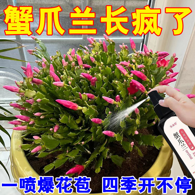 植物营养液通用型家用酸性活力素水培绿植花卉肥料龟背竹冬季花肥