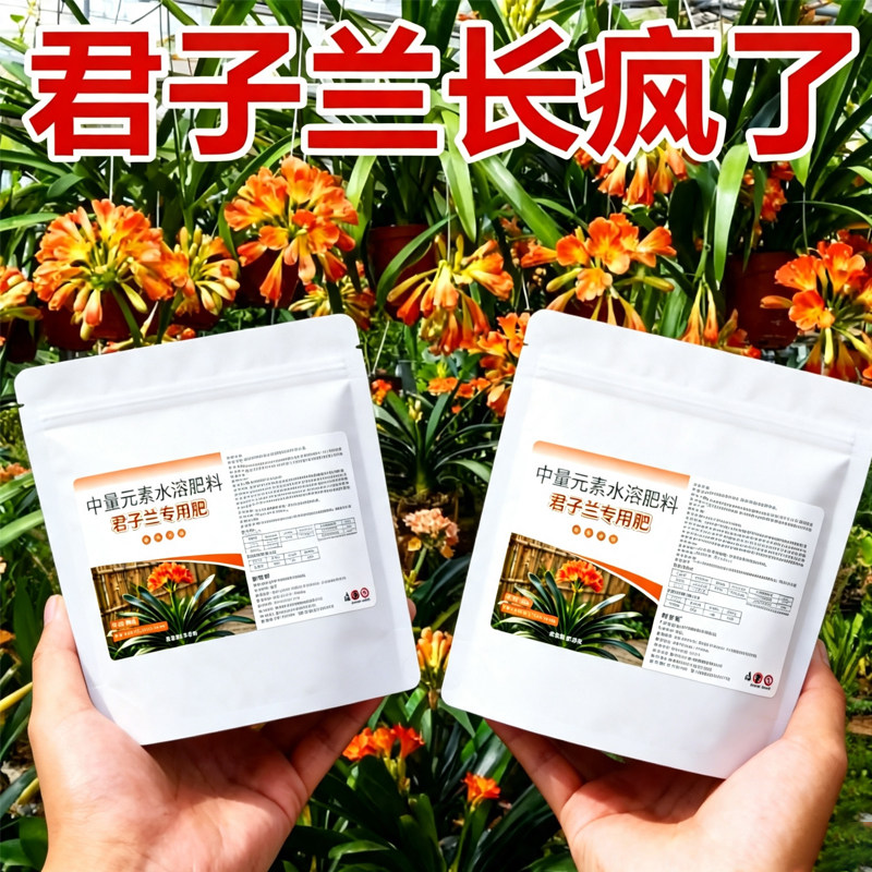 君子兰专用颗粒缓释肥拔箭花