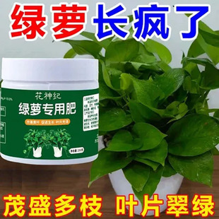 绿萝专用肥料防黄叶干尖促长藤有机肥料家用绿植通用型缓释肥水培
