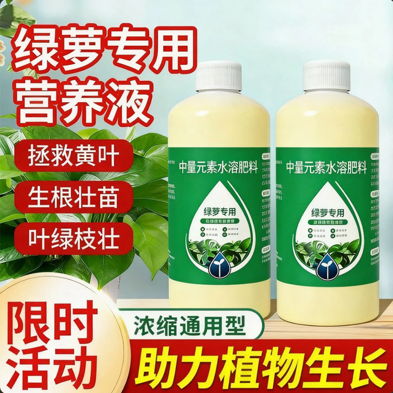 绿萝专用营养液生根壮苗