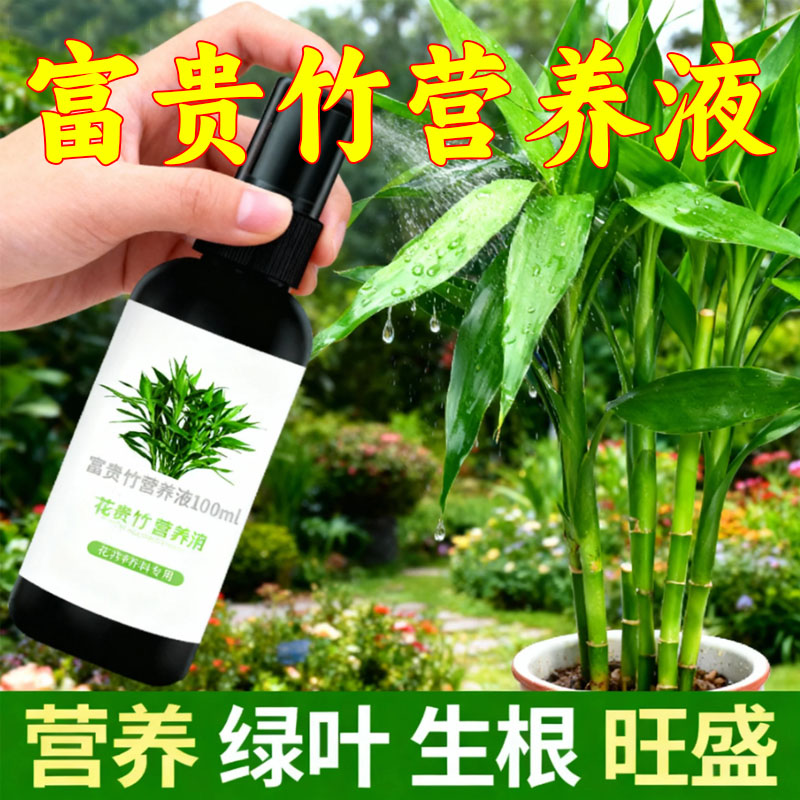 【拯救黄叶】专治叶子发黄烂根一喷绿水培植物液体肥富贵竹营养液