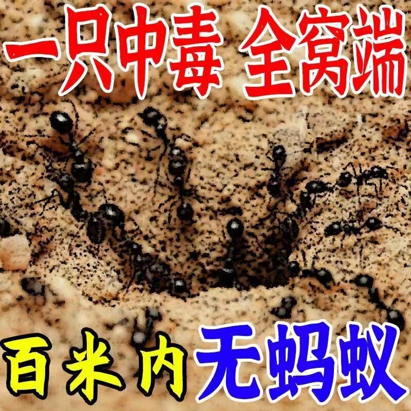 灭蚂蚁药家用强力非菜地花盆野外灭蚁清全窝端专杀蚂蚁