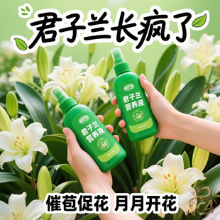 君子兰专用营养液养君子兰专用营养液肥料栽种盆栽肥专用肥通用