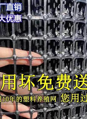 销加网厚塑料网格养殖聚丙烯鸡鸭米围栏雏漏粪网栅栏圈育地围网防