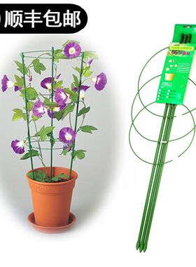 园艺藤本爬藤支架花架p植物铁艺花架月季蔷薇爬藤架包塑铁环花支