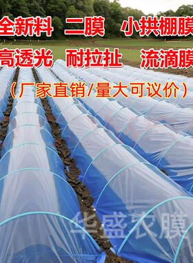 大棚内二膜塑料j小拱棚膜种菜专用育苗保温防寒防冻透明农用薄膜