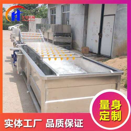 全自动净菜气泡清洗机 喷淋式笋片清洗机 果蔬气泡清洗机设备