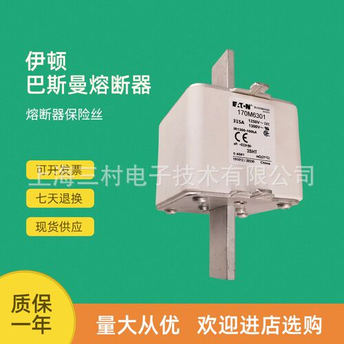 全新原装快速熔断器保i险丝170M6308 170M6309 170M6310 170M6311