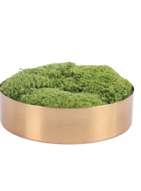 新中式仿真微观绿植枯山水盆景售楼处洽谈桌书房Y 永生苔藓