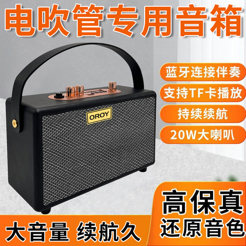 新款电吹管专用音箱户外演出家用C小巧型可携式可充电蓝牙乐器音