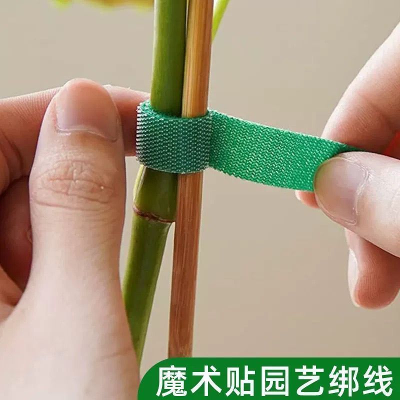 绿色魔术贴扎带绿植扶正捆绑不伤树植物支撑定型绑树束带