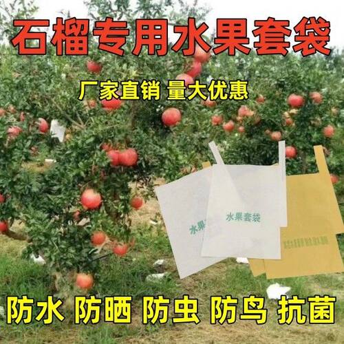 柑橘丑橘脐橙番石榴石榴专用露天防水防晒防虫水果套袋果袋