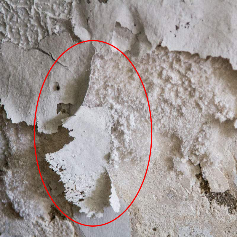 补墙膏墙面修补白色腻子粉内墙家用滑石防水墙壁窟窿修复翻新神器