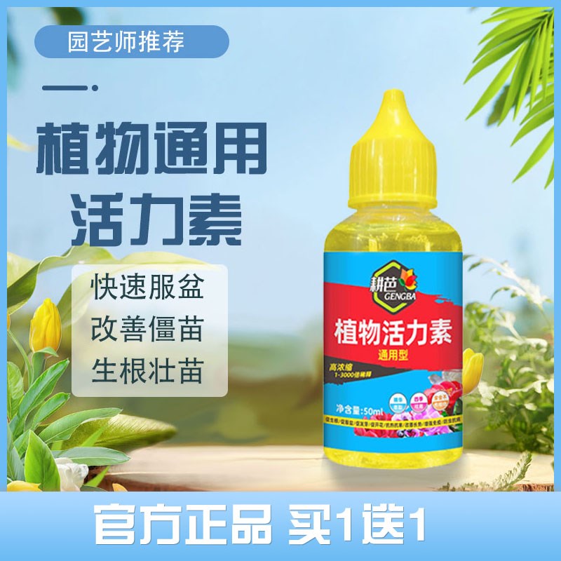 【改善僵苗】植物活力素促芽壮根生根多肉绿植盆栽浓缩通用型肥料