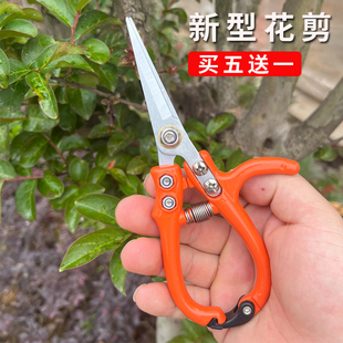 园林果树剪刀粗枝花剪 修枝剪子葡萄摘果剪 省力树枝修花园艺剪刀