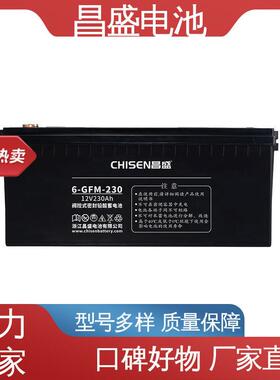 昌盛6源-GFMJ-20ep应s急674电源玩具电铅3蓄电池质量放心