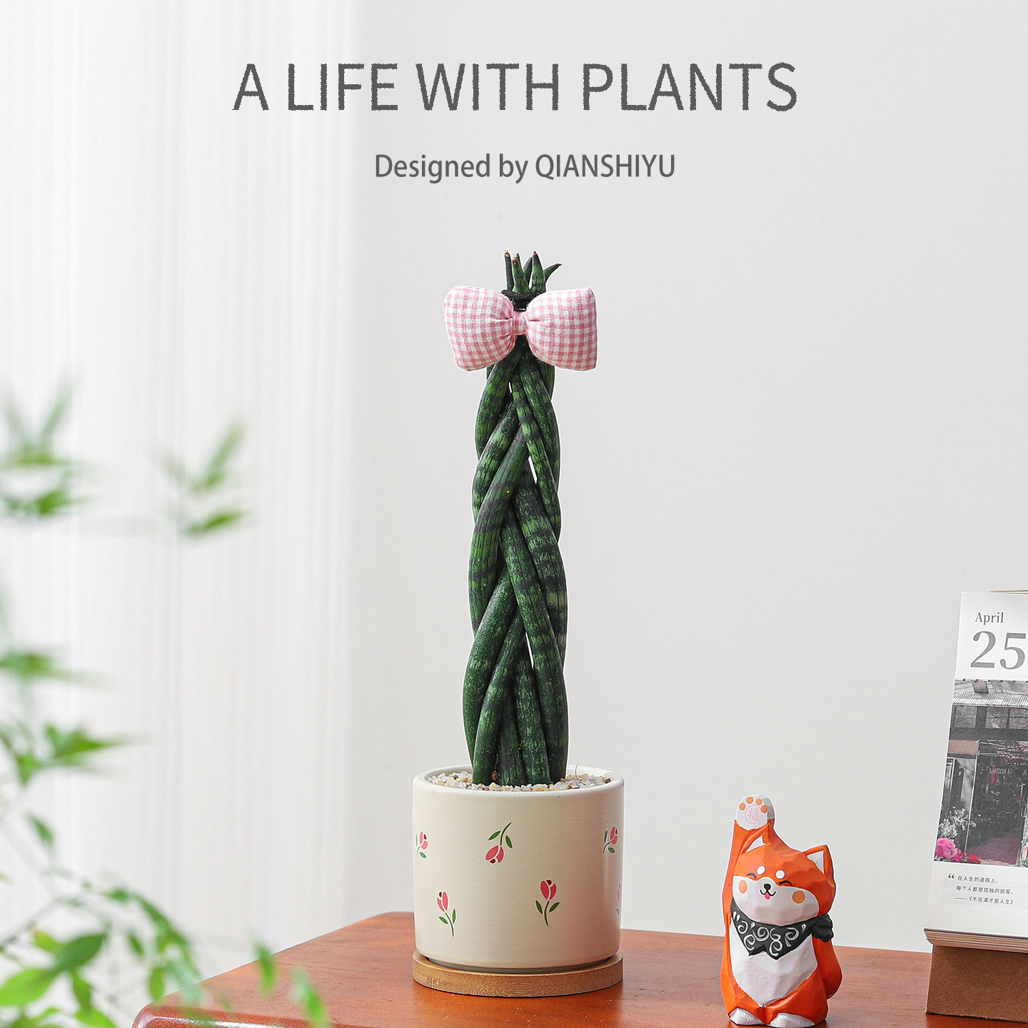 造型辫子虎皮兰绿植室内办公室耐旱植物四季好养情绪稳定花卉盆栽