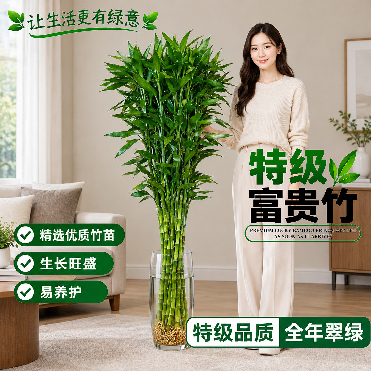 节节高富贵竹水培植物室内好养盆栽懒人适合养的花净化空气盆景