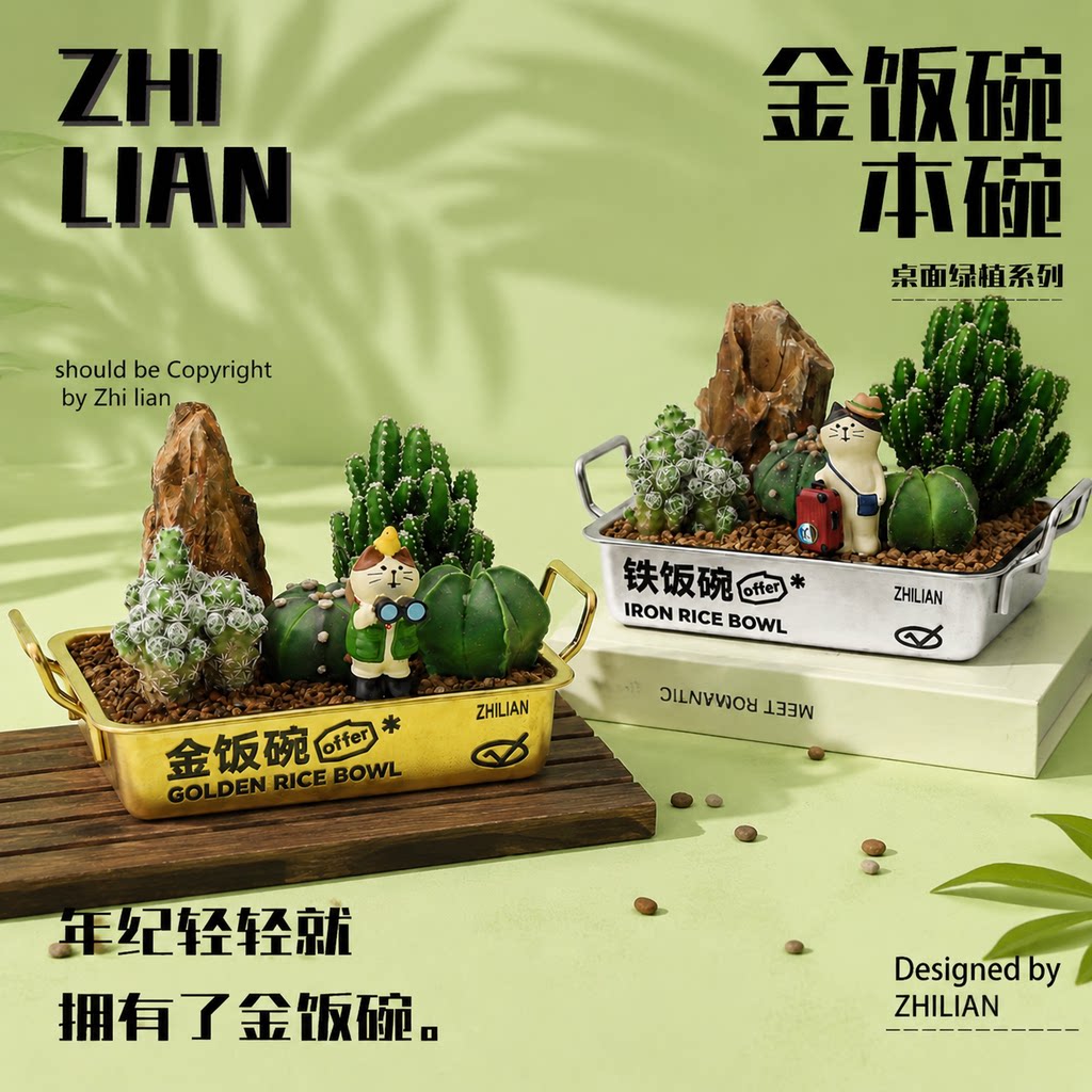 铁饭碗万重山多肉植物创意盆栽生日礼物白鸟仙人掌仙人球绿植盆景