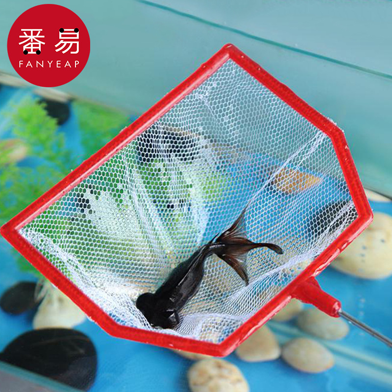 渔捞/小AE1S242-鱼缸网捞观赏鱼户外便携网兜密捞鱼儿童手抄