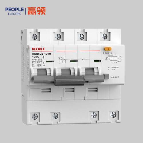 PEOPLE人民电器漏电断路器RDB5LE-125 80/100a大电流漏保开关总闸