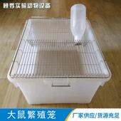 大鼠用品仓鼠基础笼Ss4大鼠饲养笼实验室设备豚鼠笼不锈钢面盖