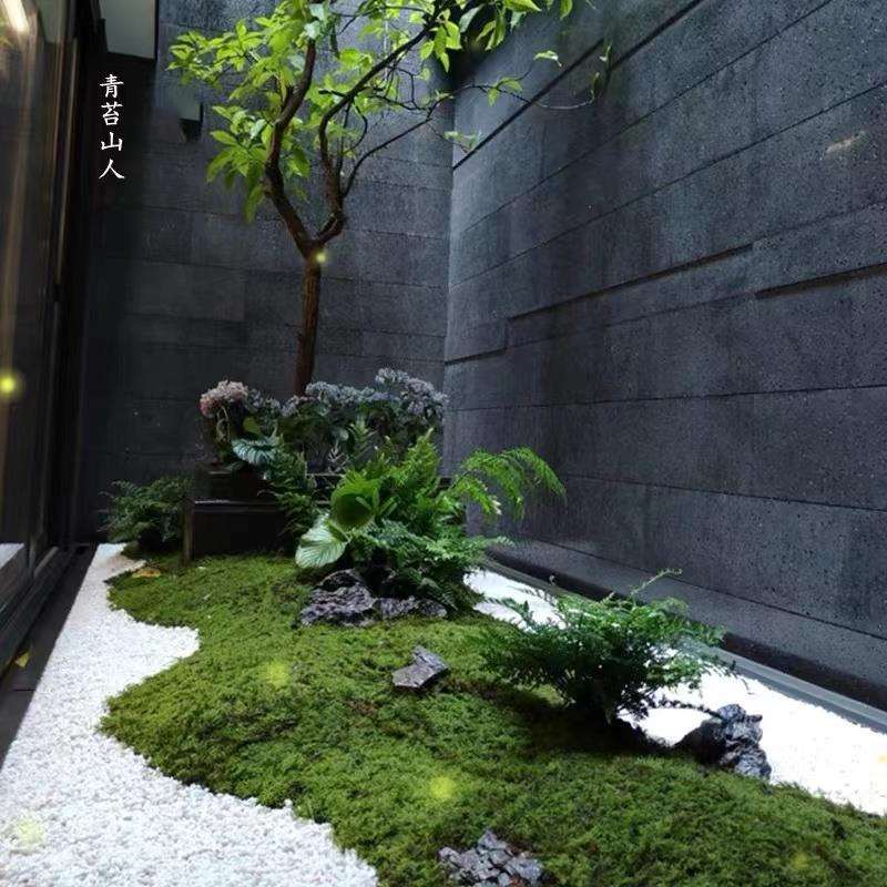 青苔藓草皮微景观绿色造景场景橱窗展示盆景假苔藓粉草坪植物
