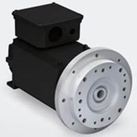 BAUMULLER频率转换器、BAUMULLER耦合器