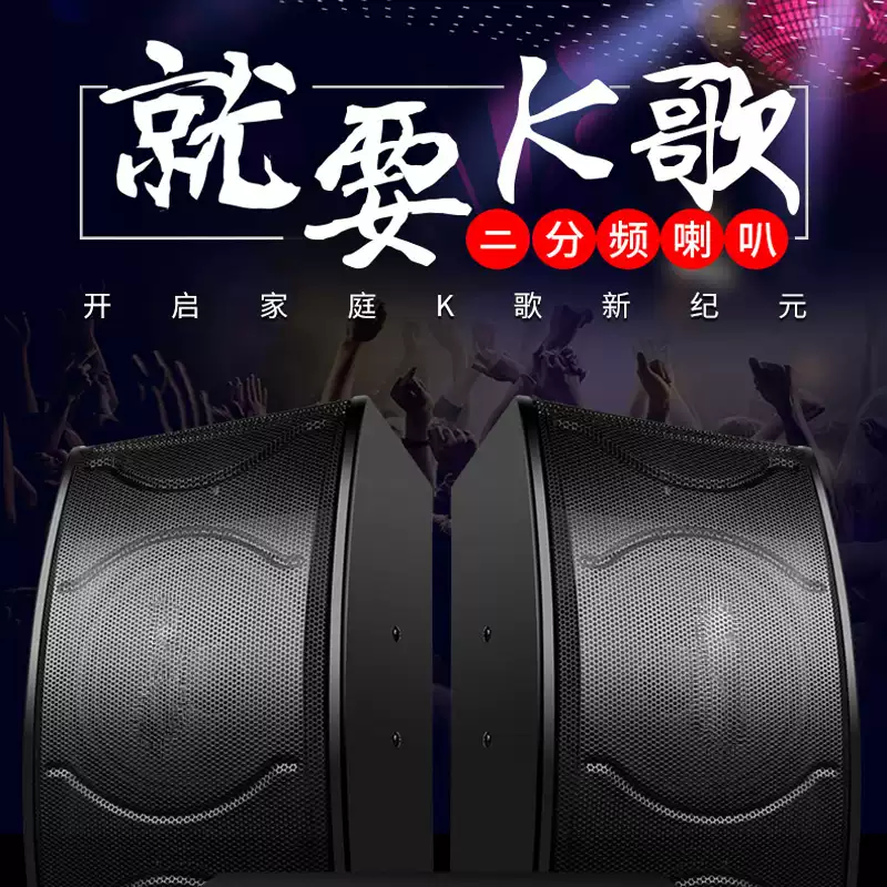 家庭KTV音响家用K歌唱歌客厅家庭影院音箱卡拉OK包房10寸卡包设备