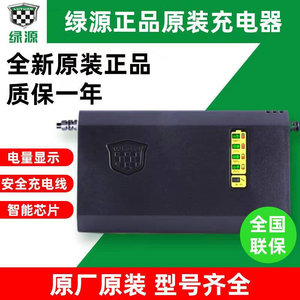 48V60V72V20E30E40E-充电器充电器电动车电瓶车T2T4T铅酸