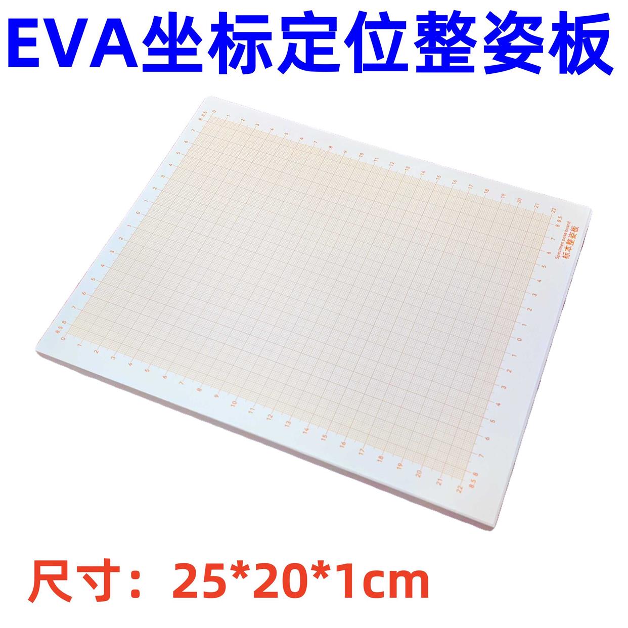 EVA昆虫蝴蝶标本整姿板展足板展翅板坐标定位扎针插板制作工具