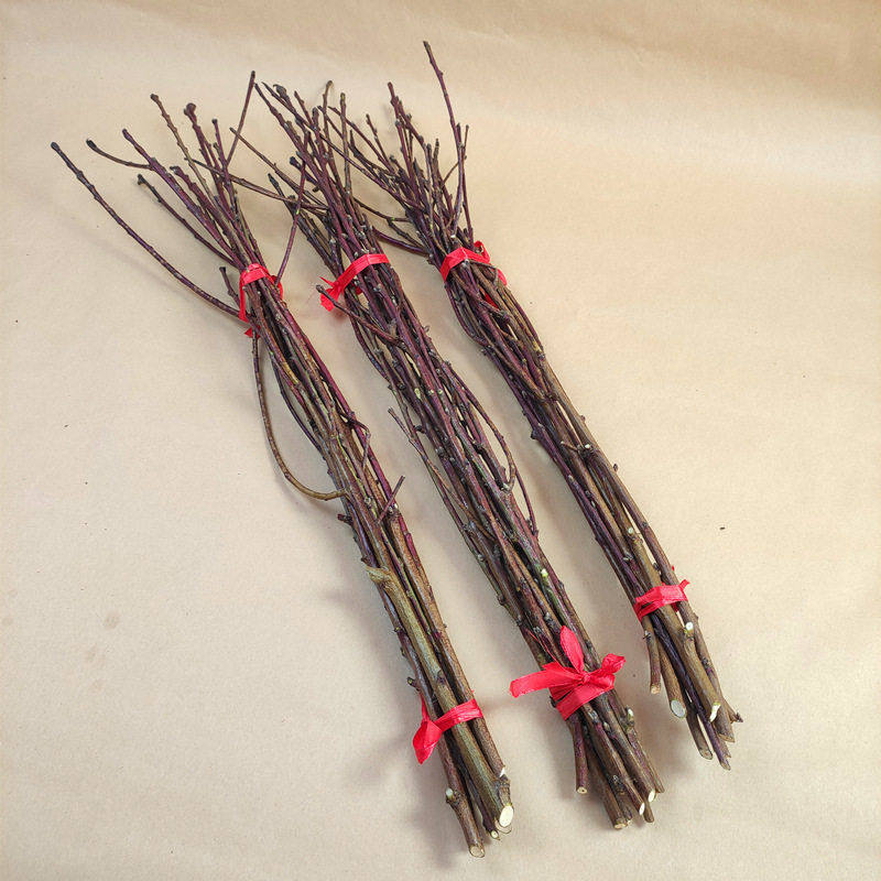 野生桃枝拍摄背景道具儿童创意手工枝条插花田园风干树枝桃花枝,家居饰品,根雕,淘宝优惠券,粉丝福利购,淘宝优惠卷