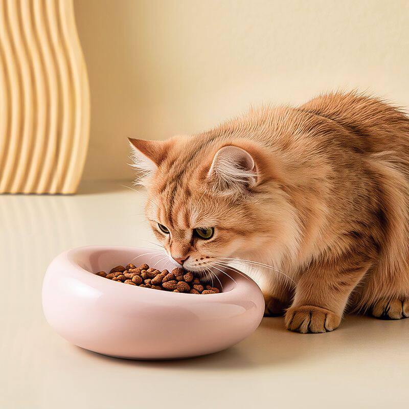 陶瓷甜甜圈宠物猫碗浅口慢食碗猫狗吃饭喝水粮碗饭碗